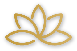 Dolce Delhi Logo